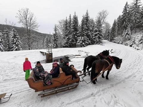 Strefa Ciszy -lawenda * Świeradów-Zdrój