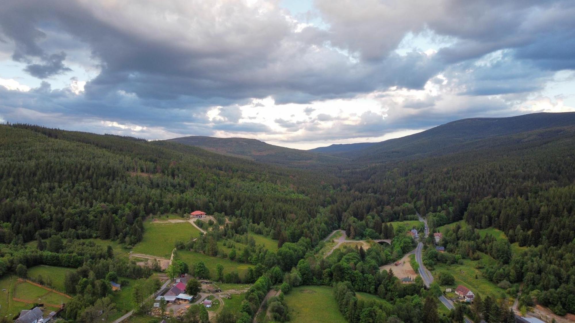 Strefa Ciszy -lawenda Apartment