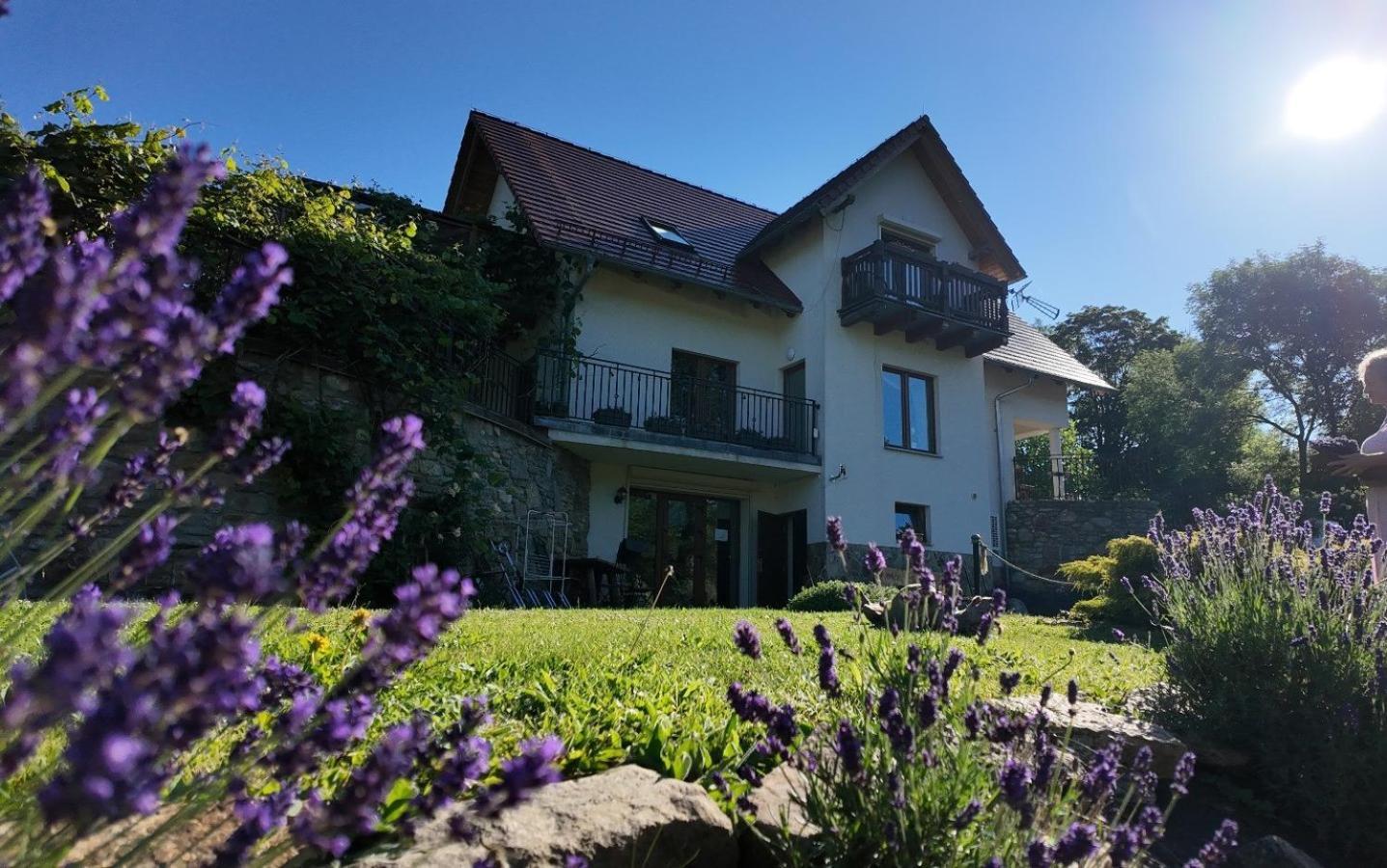 Apartment Strefa Ciszy -lawenda