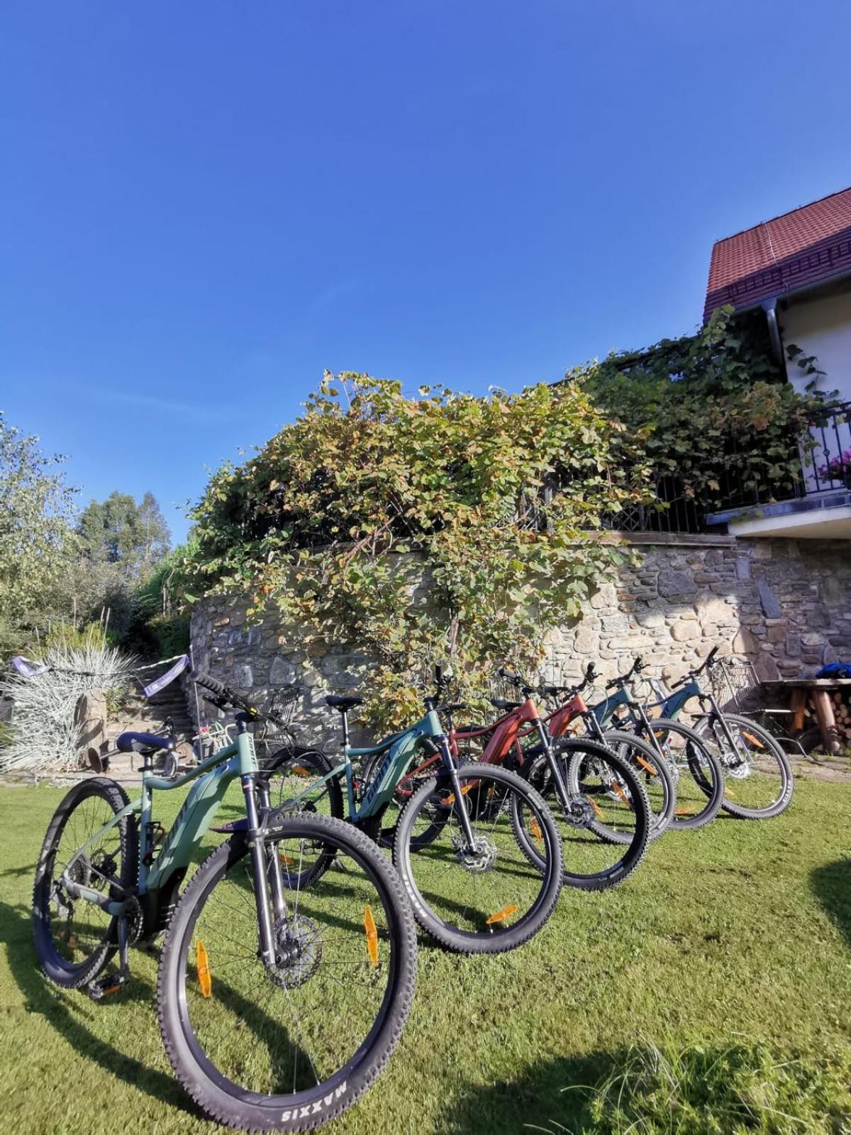 Strefa Ciszy -lawenda Apartment *