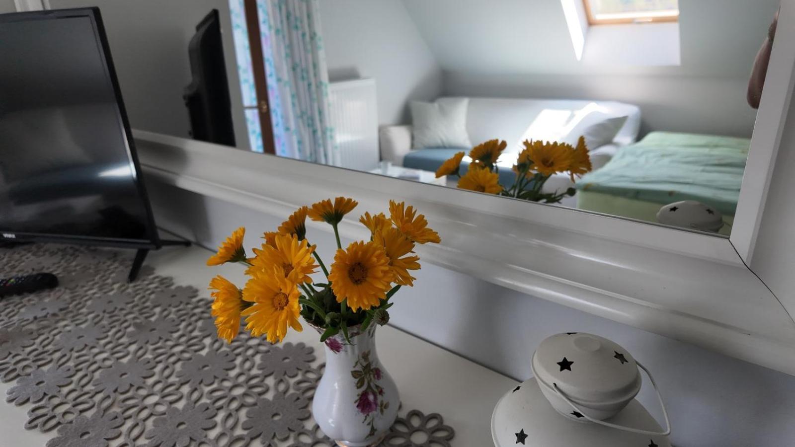 Strefa Ciszy -lawenda Apartment *